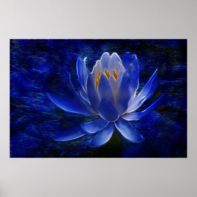 Blume Lotus und ihre Bedeutung Poster (Vorne)