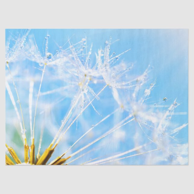 Blume Lover | Schöne Blume Dandelion Seidenpapier (Vorderseite)
