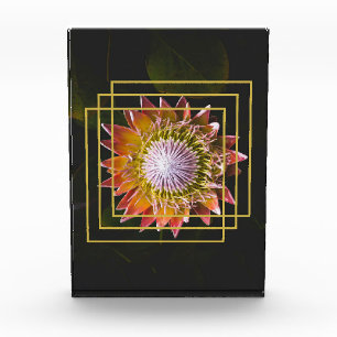 Blume Lover Square Blume Fotoblock