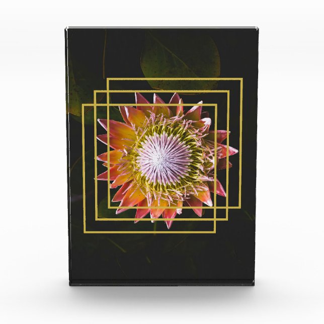 Blume Lover | Square Blume Fotoblock (Vorderseite)