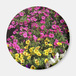 Blume Magnet