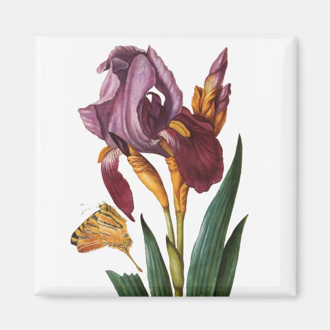 Blume Magnet (Vorne)