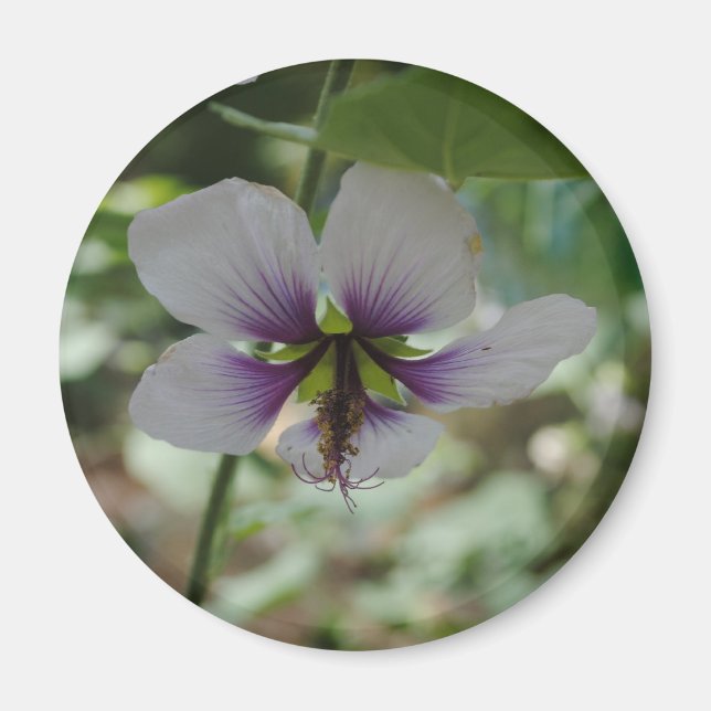 Blume Magnet (Vorne)