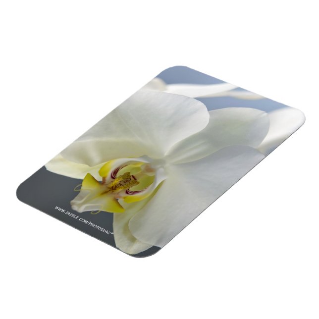 Blume Magnet (Linke Seite)