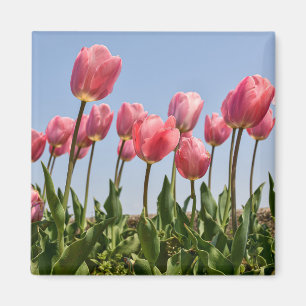 Blume Magnet