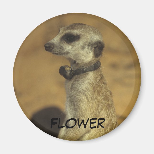 Blume Magnet (Vorne)