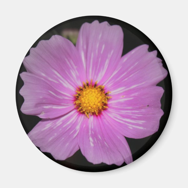Blume Magnet (Vorne)