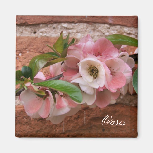 BLUME MAGNET (Vorne)