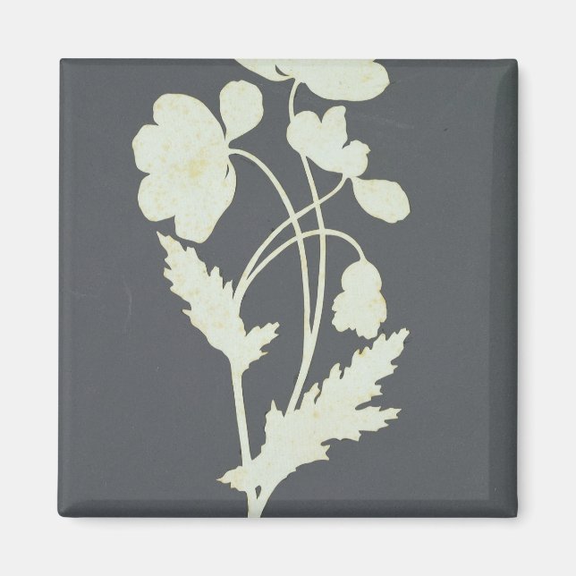 Blume Magnet (Vorne)