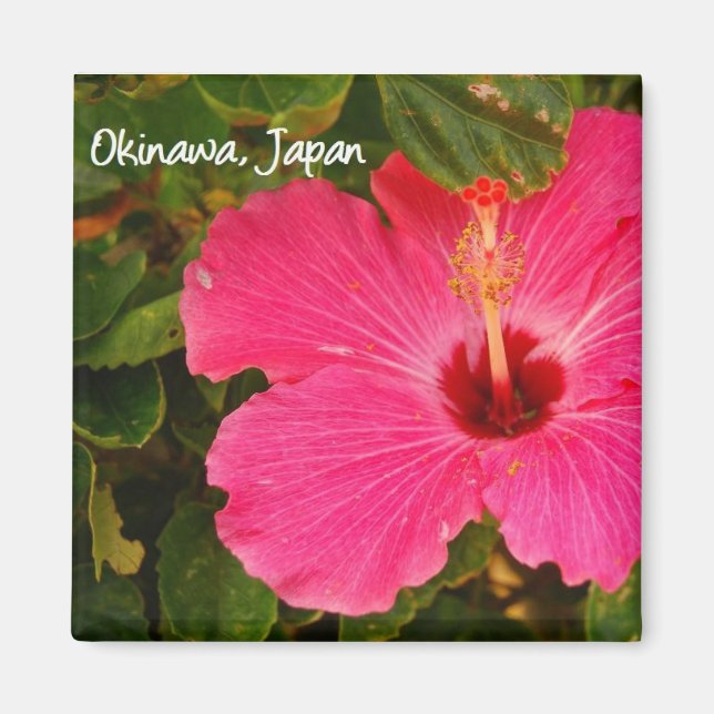 Blume Magnet (Vorne)