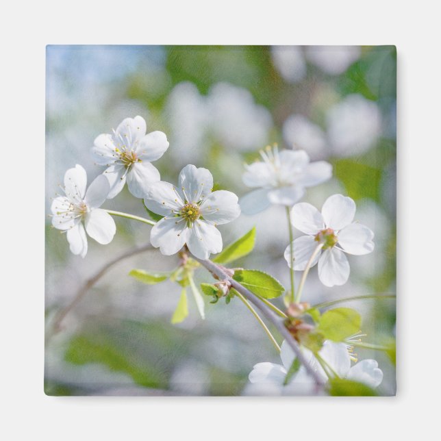 Blume Magnet (Vorne)