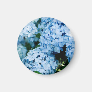 Blume Magnet