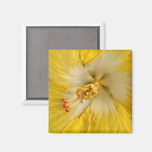 Blume Magnet (Vorderseite/Rückseite)