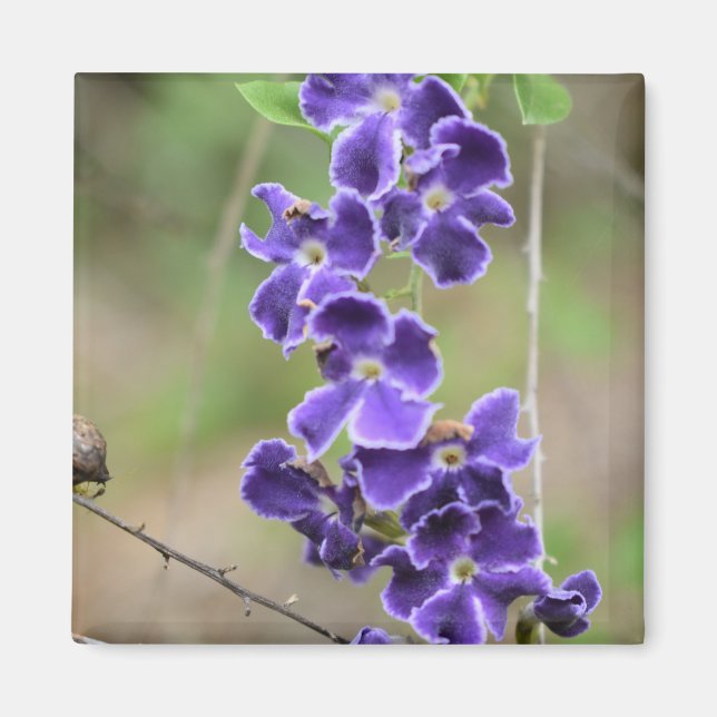 Blume Magnet lila geisha Girl (Vorne)