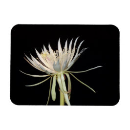Blume-Magnet Magnet