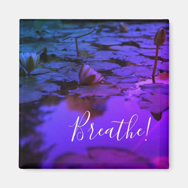 Blume Magnet Wasserlily Lotus (Vorne)