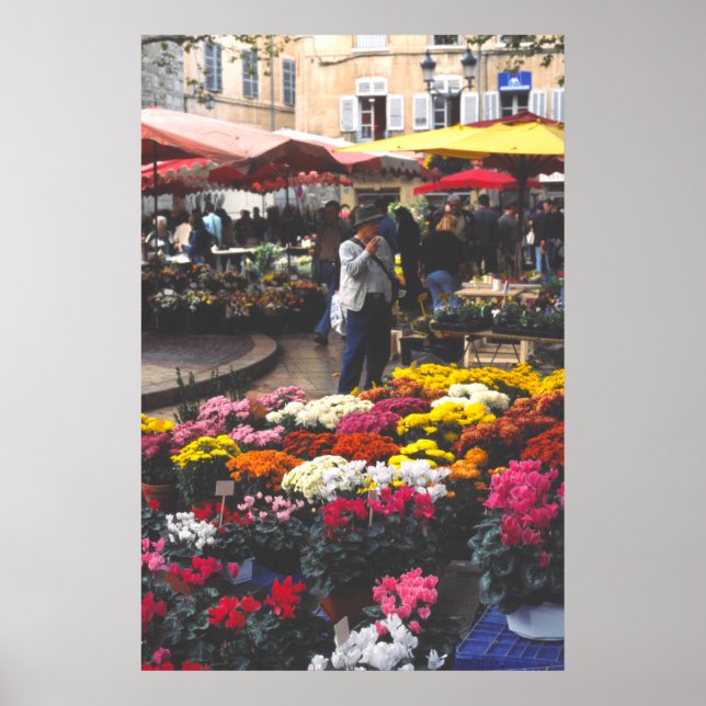 Blume, Markttag, Aix-en-Provence Poster (Vorne)