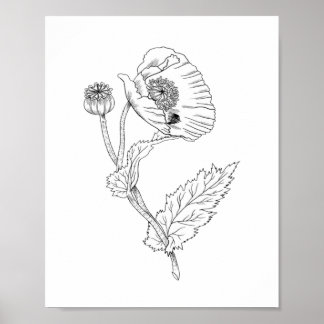 Blume Minimalistisch Poster Paper (Matte)