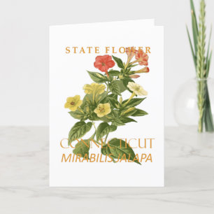 Blume Mirabilis jalapa Feiertagskarte