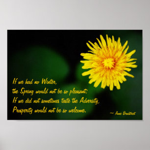Blume mit Anne Bradstreet Zitatposter Poster