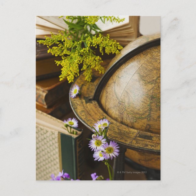 Blume mit antikem Globus und Büchern Postkarte (Vorderseite)