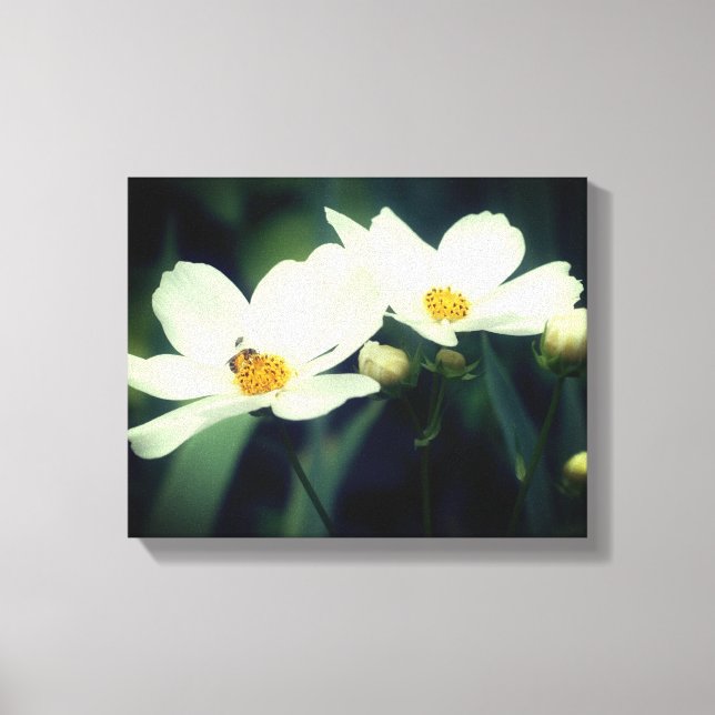 Blume mit Bienen Leinwanddruck (Vorderseite)