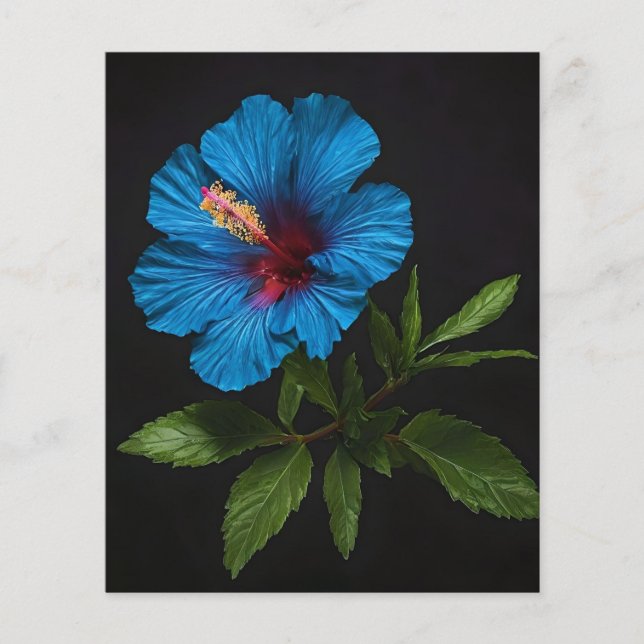 Blume mit blauem Hibiskus auf Schwarz, Flyer (Vorne)