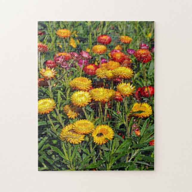 Blume mit den roten und gelben Tasten Puzzle (Vertikal)