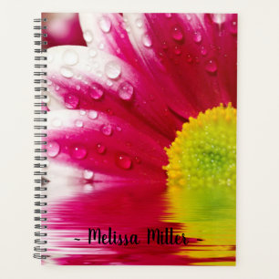 Blume mit Dew Planer