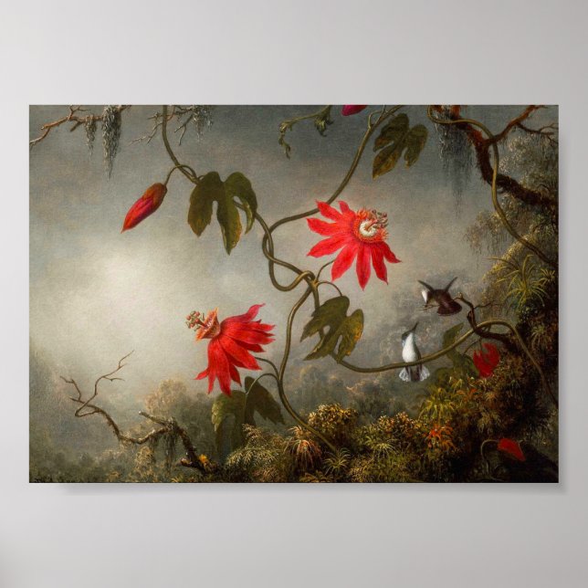 Blume mit Hummingbirds Heade Poster (Vorne)