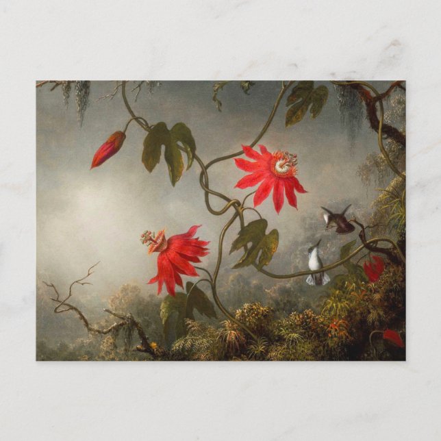 Blume mit Hummingbirds Heade Postkarte (Vorderseite)