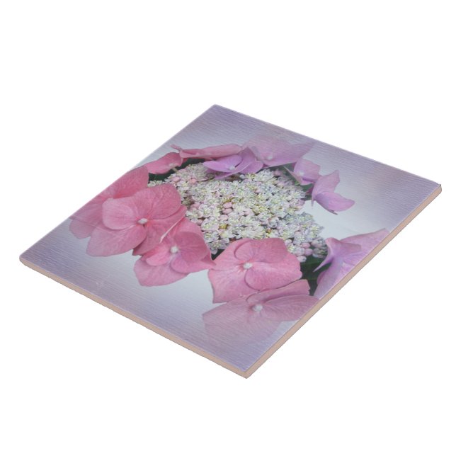 Blume mit Lila Spitzen-Cap Hydrangea Fliese (Seite)