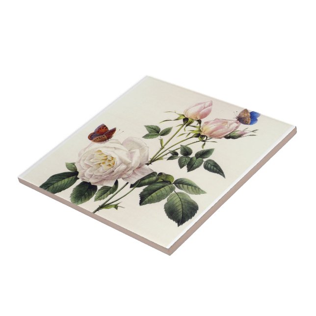 Blume mit Rosa, Pierre Joseph Redouté Fliese (Seite)