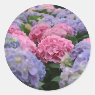 Blume mit rosa und blauem Hydrangea Runder Aufkleber