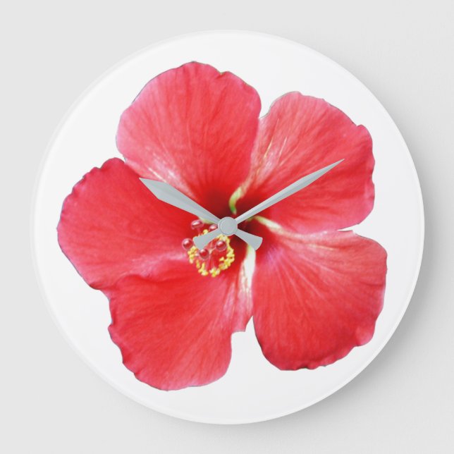 Blume mit rotem Hibiskus Große Wanduhr (Vorderseite)