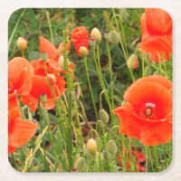 Blume mit rotem Mohn, benutzerdefinierte Untersetz
