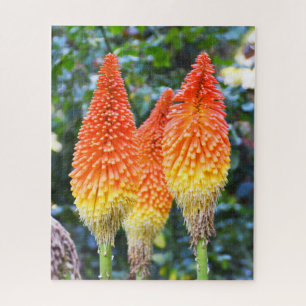 Blume mit rotem Poker Puzzle