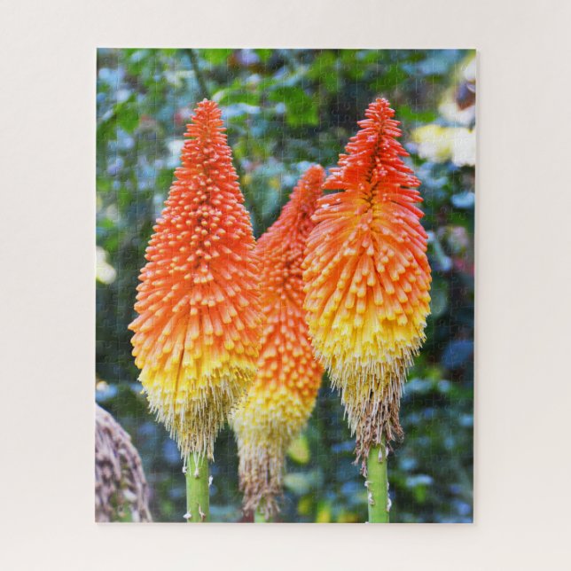 Blume mit rotem Poker Puzzle (Vertikal)