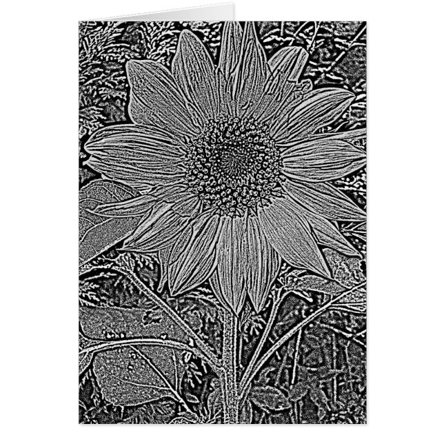 Blume mit Schwarz-Weiß-Sonnenblumen (Vorne)