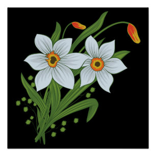 Blume mit schwarzem Hintergrund Poster