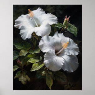 Blume mit weißem Hibiskus Art Print Poster