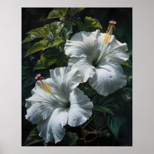 Blume mit weißem Hibiskus Art Print Poster