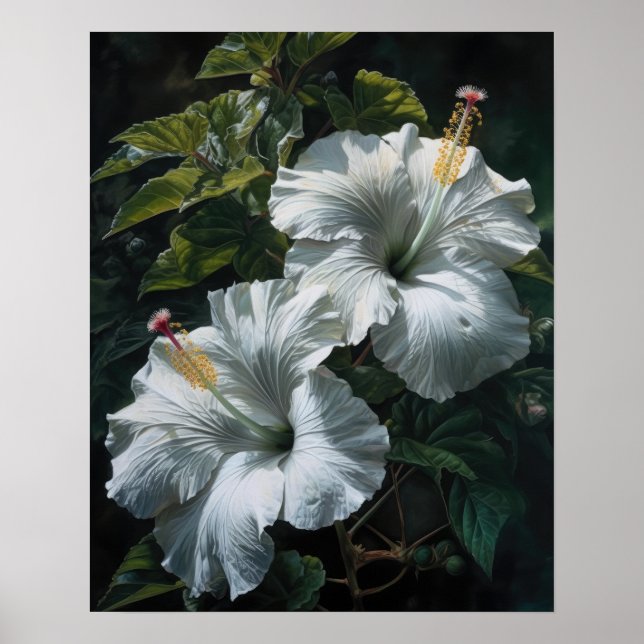 Blume mit weißem Hibiskus Art Print Poster (Vorne)