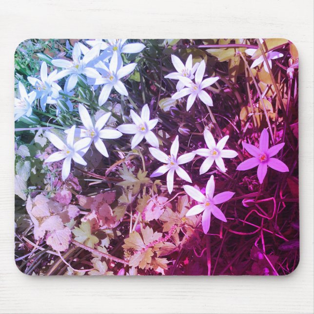 Blume mit weißem Stern Mousepad (Vorne)