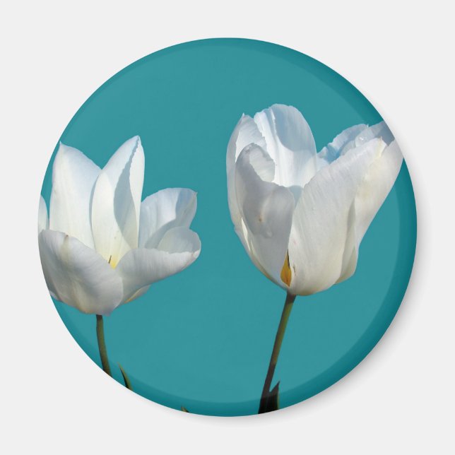 Blume mit weißem Tulpenhintergrund Magnet (Vorne)