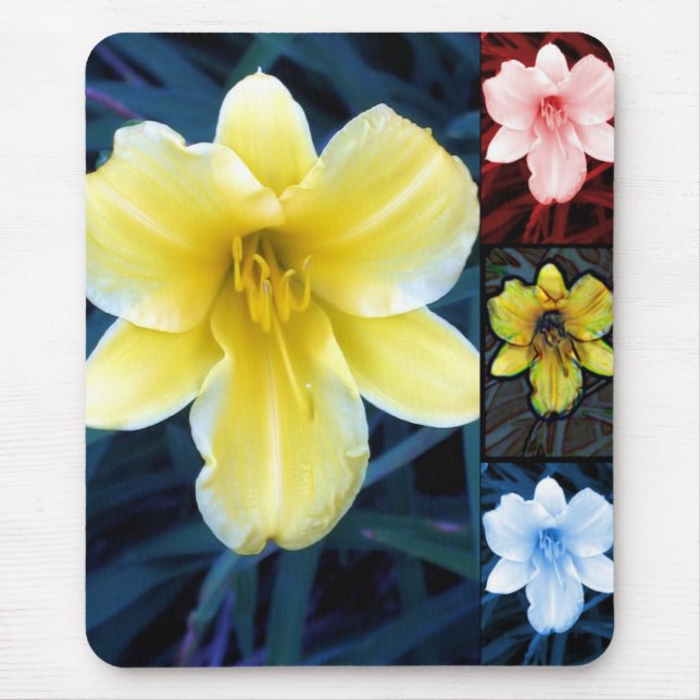 Blume Mix Mousepad (Vorne)