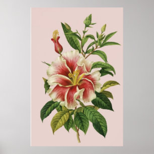 Blume Modernes Art II Poster