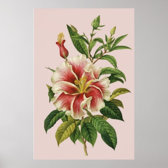 Blume Modernes Art II Poster (Vorne)