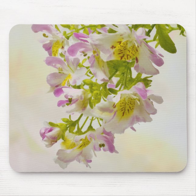 Blume Mousepad (Vorne)
