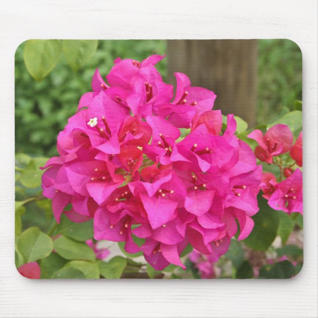 Blume Mousepad (Vorne)